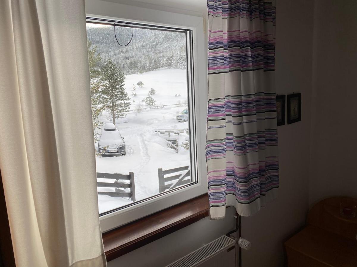 Vila Jela Tornik Zlatibor Exteriér fotografie