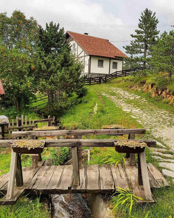 Vila Jela Tornik Zlatibor Exteriér fotografie