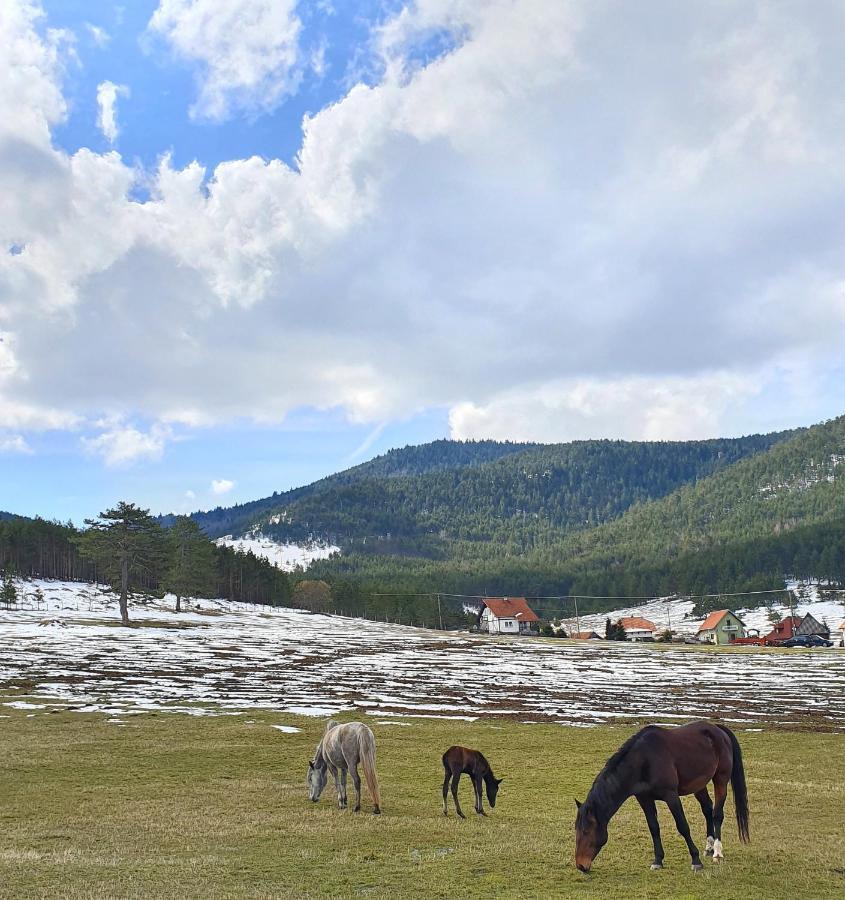 Vila Jela Tornik Zlatibor Exteriér fotografie