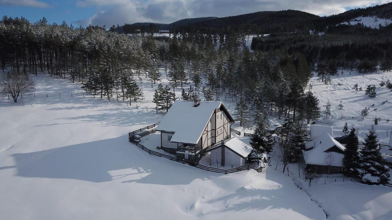 Vila Jela Tornik Zlatibor Exteriér fotografie