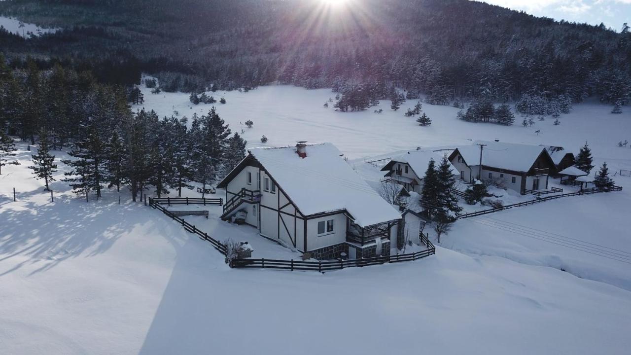 Vila Jela Tornik Zlatibor Exteriér fotografie
