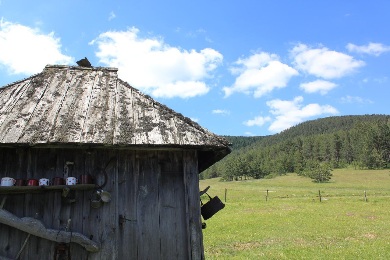 Vila Jela Tornik Zlatibor Exteriér fotografie