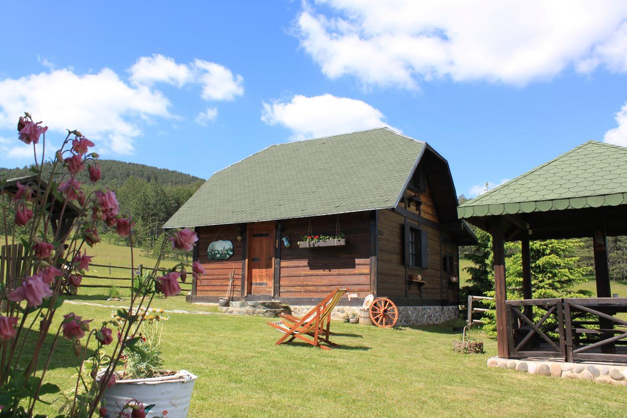 Vila Jela Tornik Zlatibor Exteriér fotografie