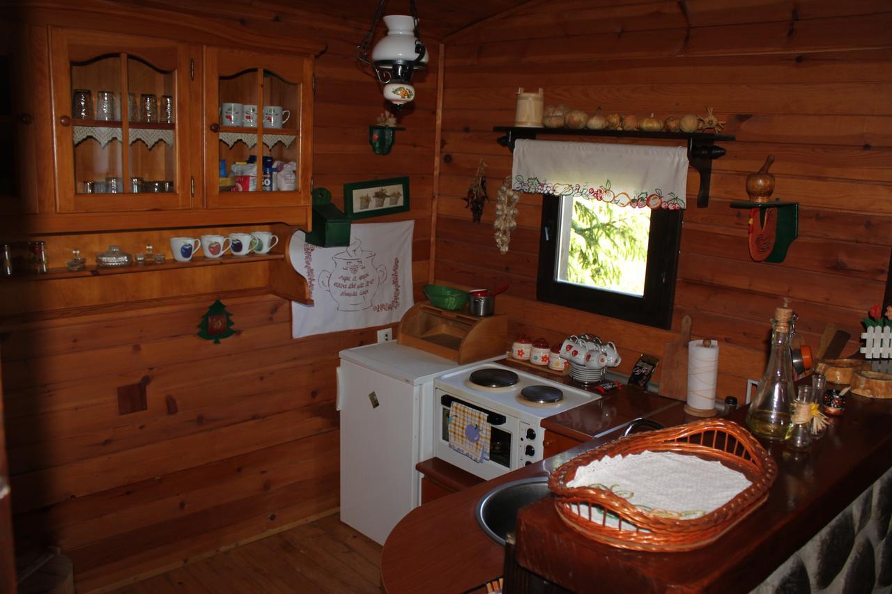 Vila Jela Tornik Zlatibor Exteriér fotografie