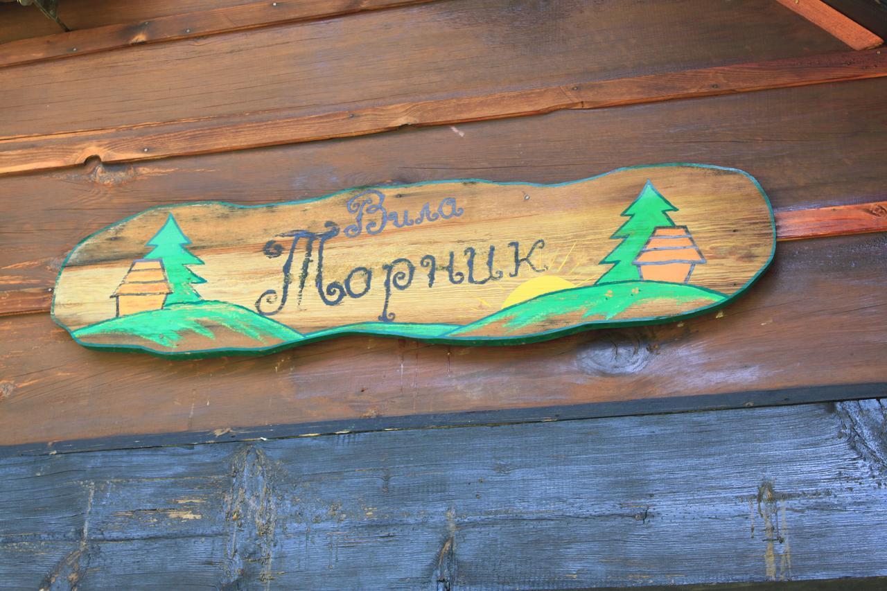 Vila Jela Tornik Zlatibor Exteriér fotografie