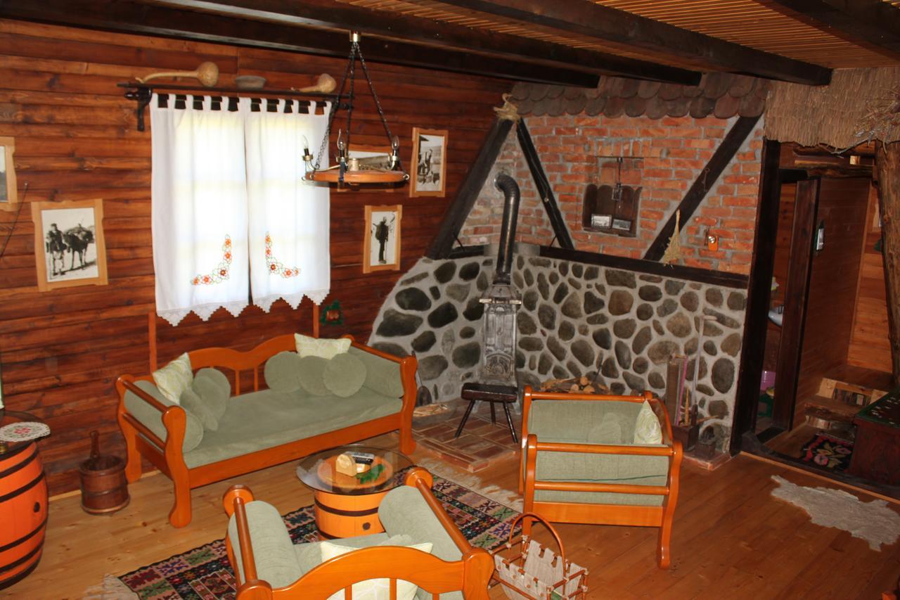 Vila Jela Tornik Zlatibor Exteriér fotografie