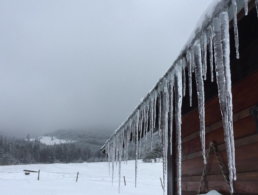 Vila Jela Tornik Zlatibor Exteriér fotografie