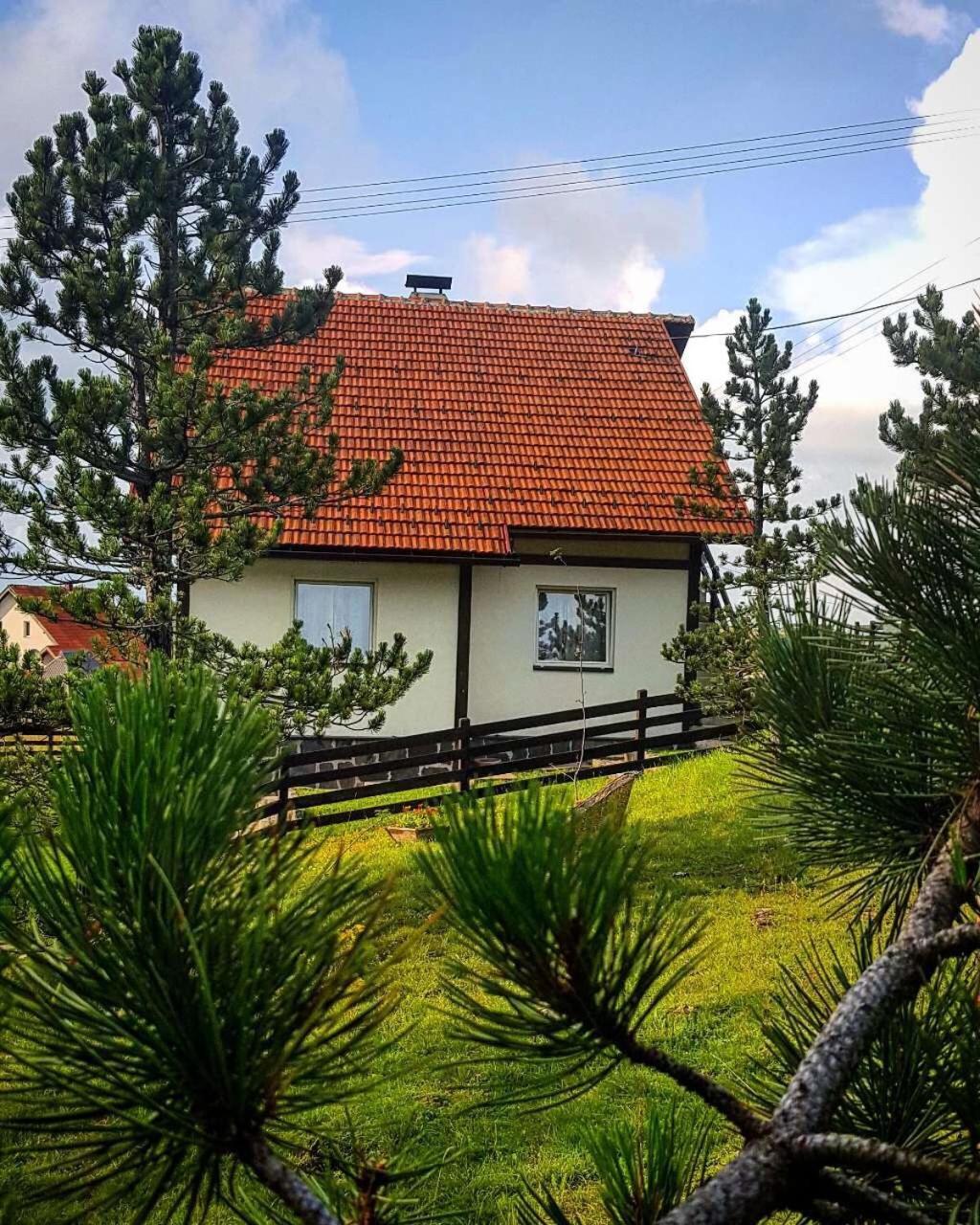 Vila Jela Tornik Zlatibor Exteriér fotografie