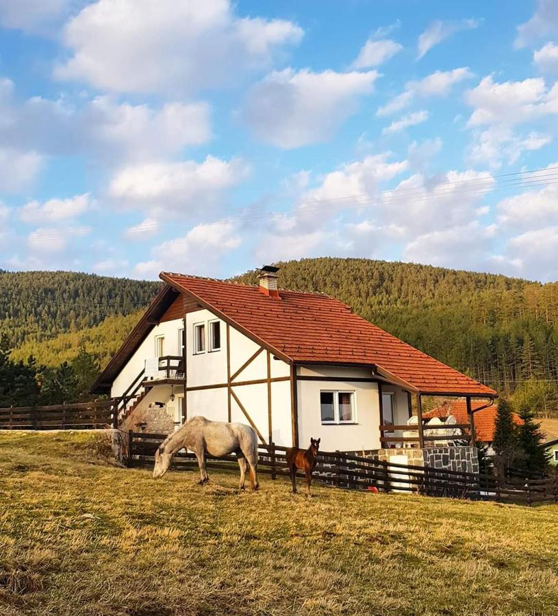 Vila Jela Tornik Zlatibor Exteriér fotografie